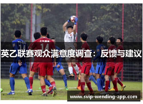 英乙联赛观众满意度调查：反馈与建议