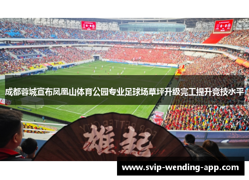 成都蓉城宣布凤凰山体育公园专业足球场草坪升级完工提升竞技水平 成都蓉城宣布凤凰山体育公园专业足球场草坪升级完工提升竞技水平